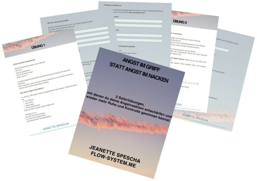Kostenloser Praxis-Guide Angst im Griff statt Angst im Nacken